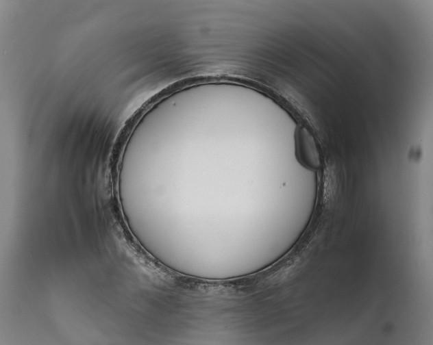X0000111650876200907311314