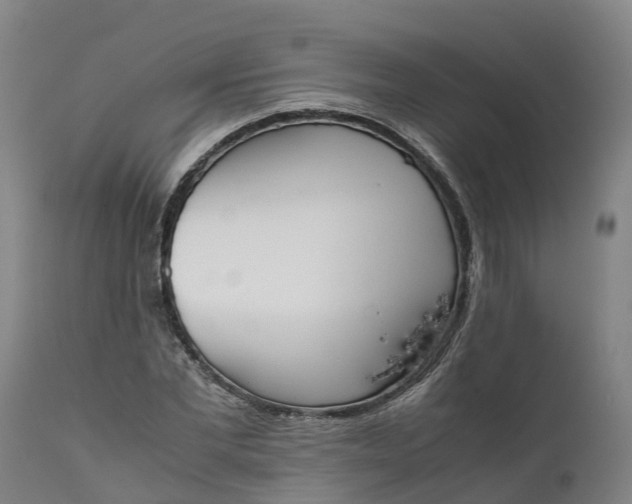 X0000111650877200907311314
