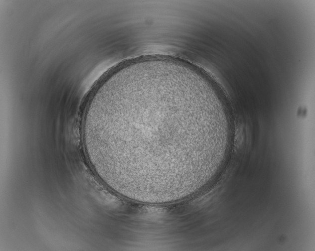 X0000111650878200907311314