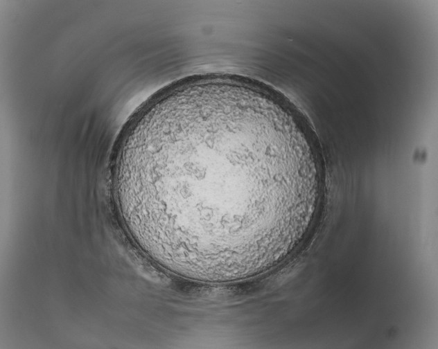 X0000111650879200907311314