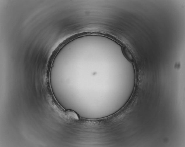 X0000111650880200907311314