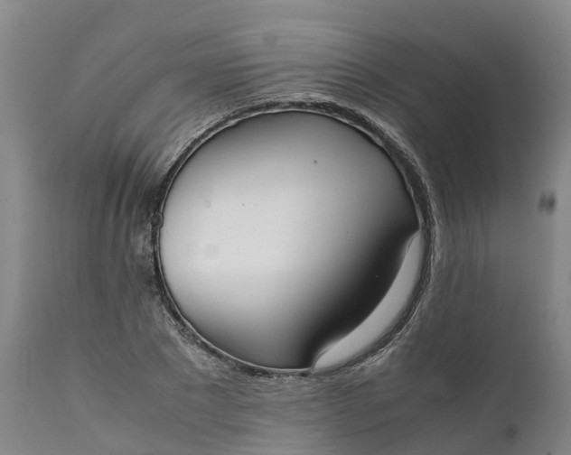 X0000111650881200907311314