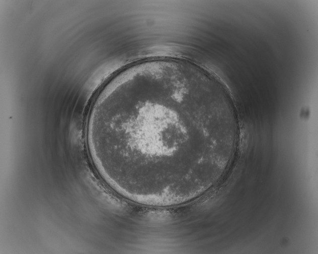 X0000111650882200907311314