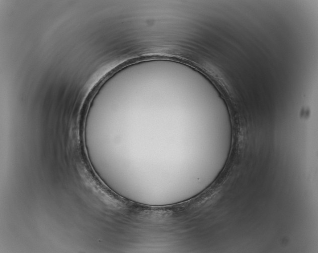 X0000111650884200907311314