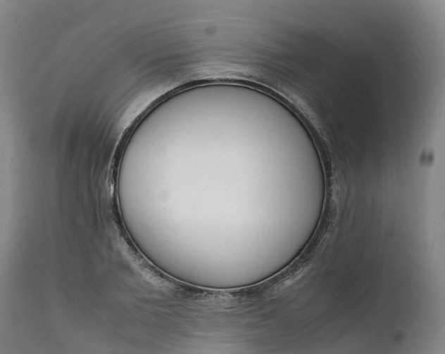X0000111650885200907311314