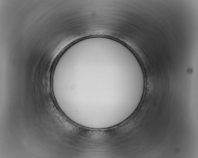 X0000111650886200907311314