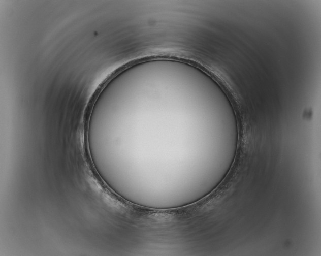 X0000111650888200907311314