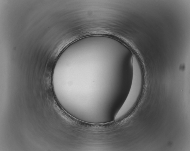 X0000111650889200907311314