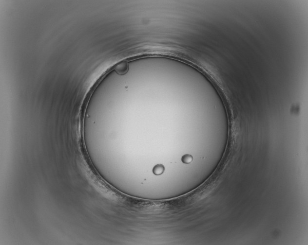 X0000111650891200907311314