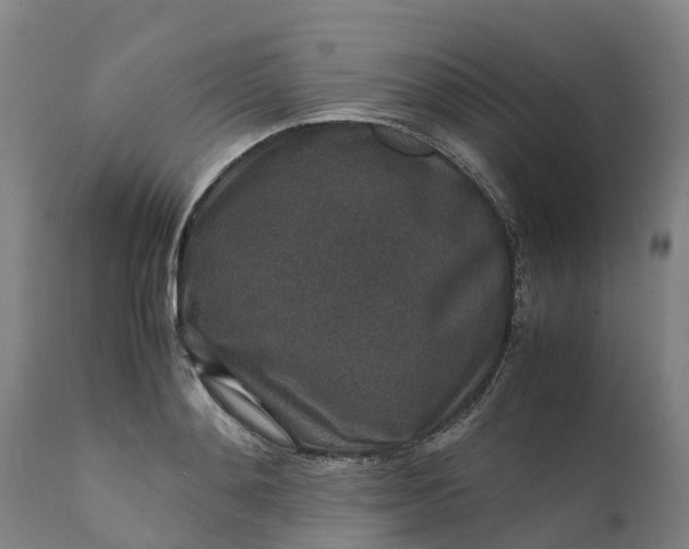 X0000111650892200907311314