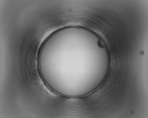 X0000111650894200907311314