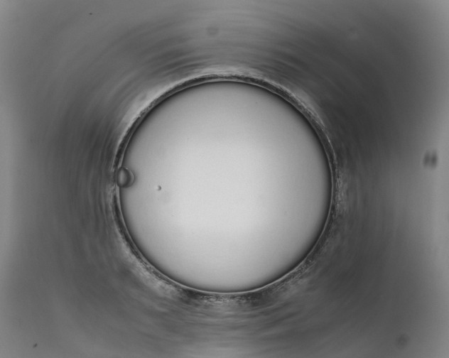 X0000111650895200907311314