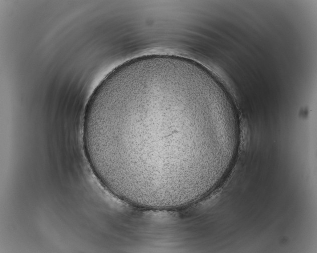 X0000111650896200907311314