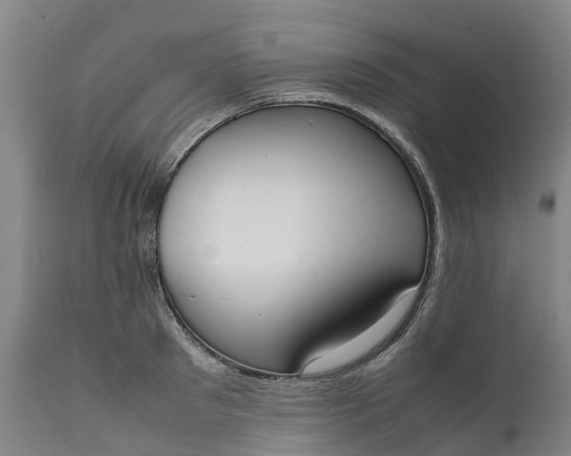 X0000111650897200907311314