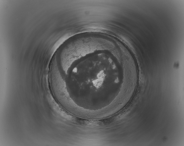 X0000111650899200907311314