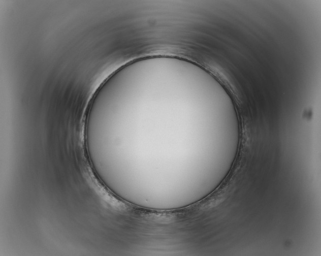 X0000111650900200907311314
