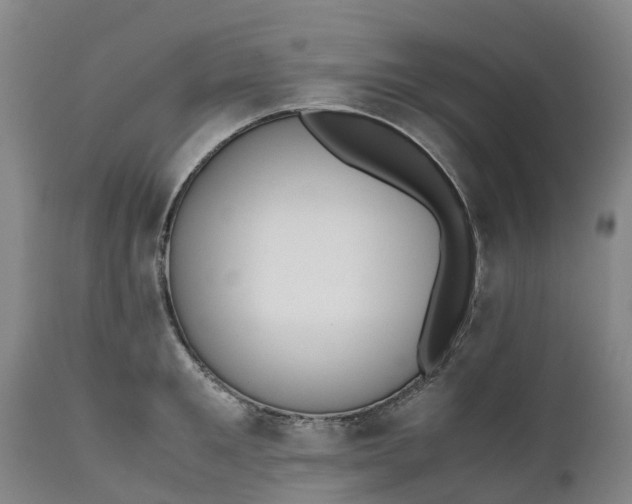 X0000111650901200907311314