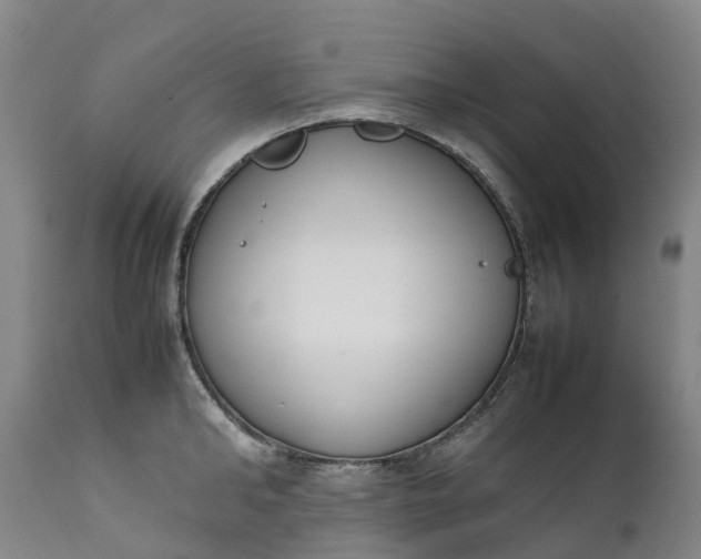 X0000111650902200907311314