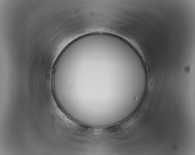 X0000111650903200907311314