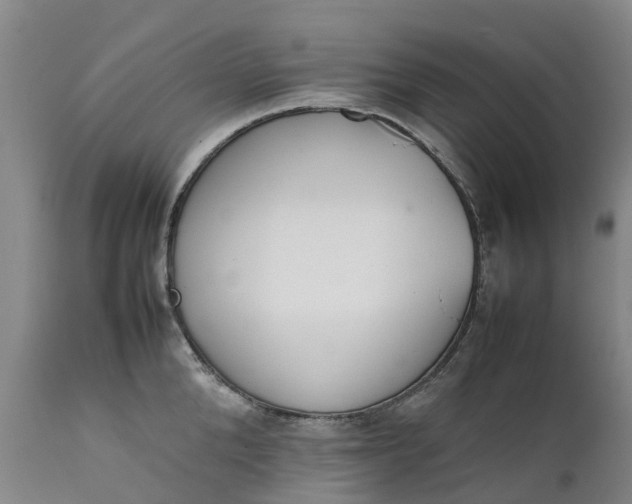 X0000111650904200907311314