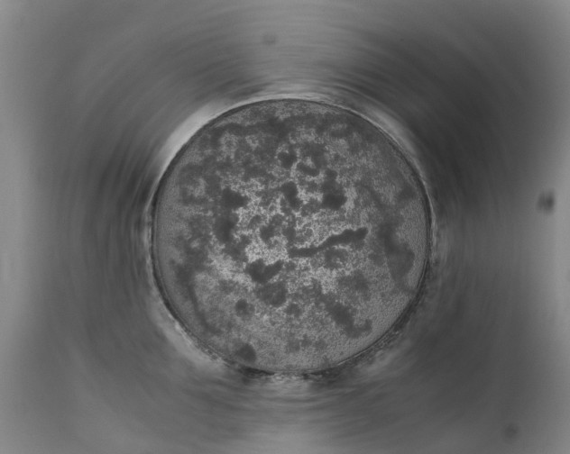 X0000111650907200907311314