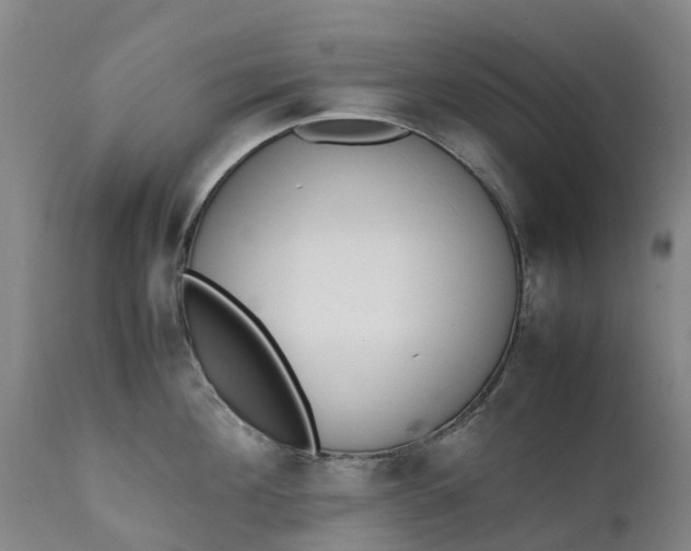 X0000111650908200907311314