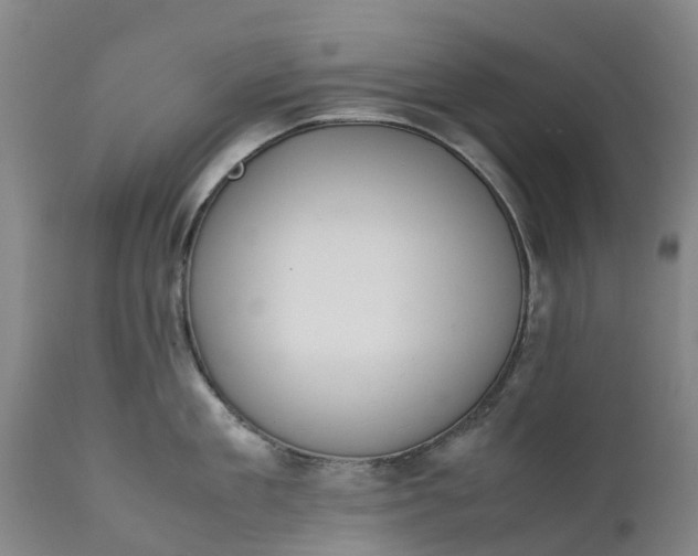 X0000111650909200907311314