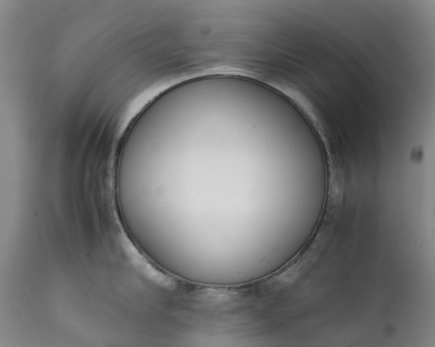 X0000111650910200907311314