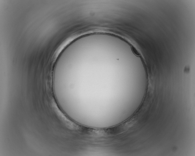 X0000111650911200907311314