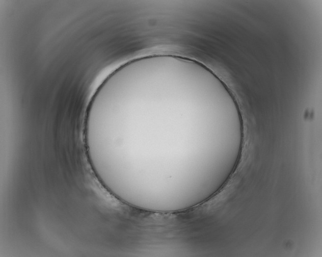 X0000111650912200907311314