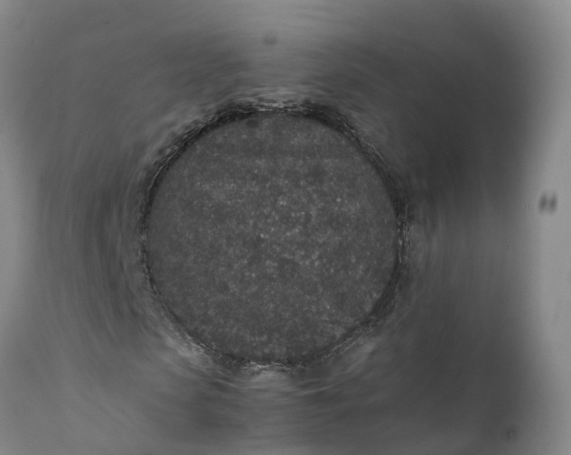 X0000111650913200907311313