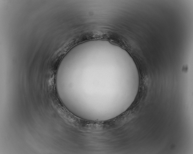X0000111650914200907311313