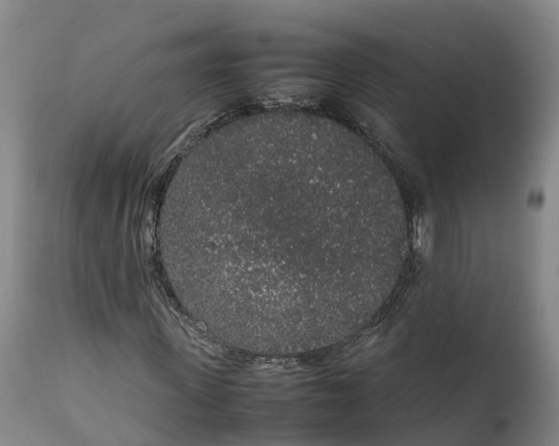 X0000111650915200907311313