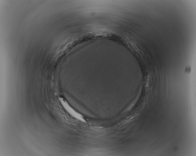 X0000111650916200907311313
