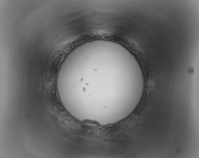 X0000111650917200907311313