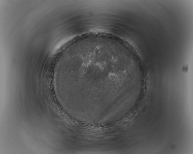 X0000111650919200907311313