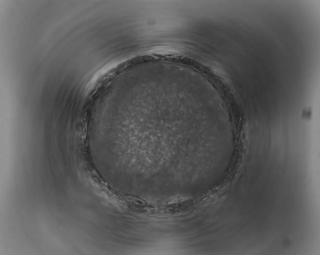 X0000111650920200907311313