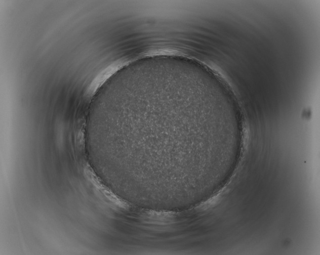 X0000111650921200907311313