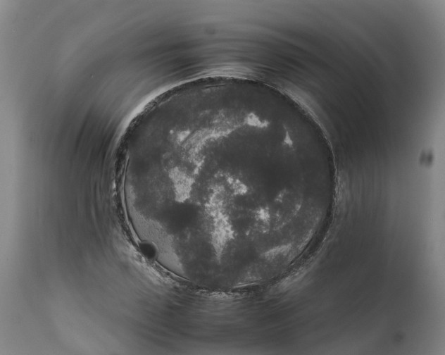 X0000111650923200907311313