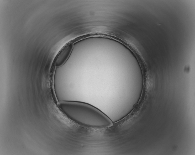 X0000111650924200907311313