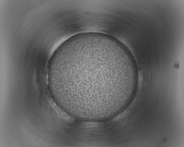 X0000111650925200907311313