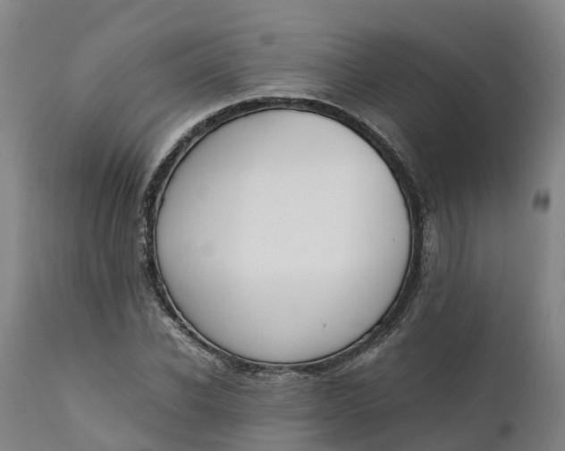 X0000111650926200907311313