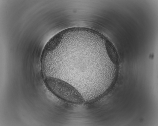 X0000111650928200907311313