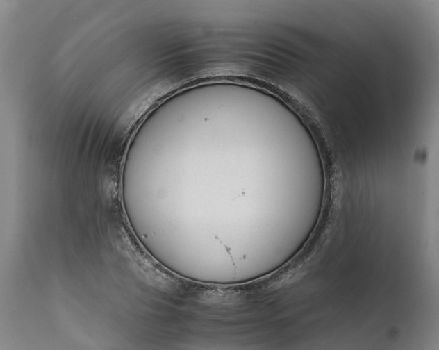 X0000111650929200907311313