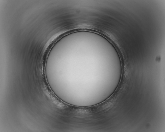 X0000111650931200907311313