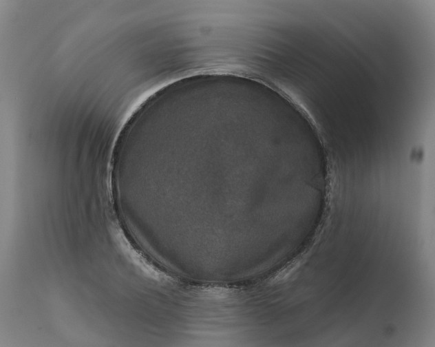 X0000111650932200907311313