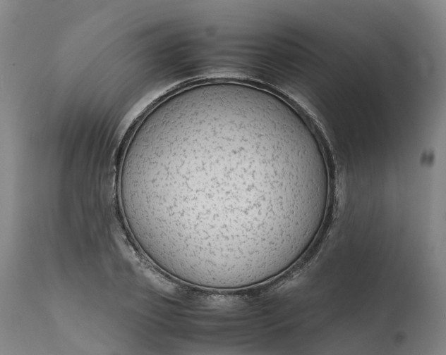 X0000111650933200907311313