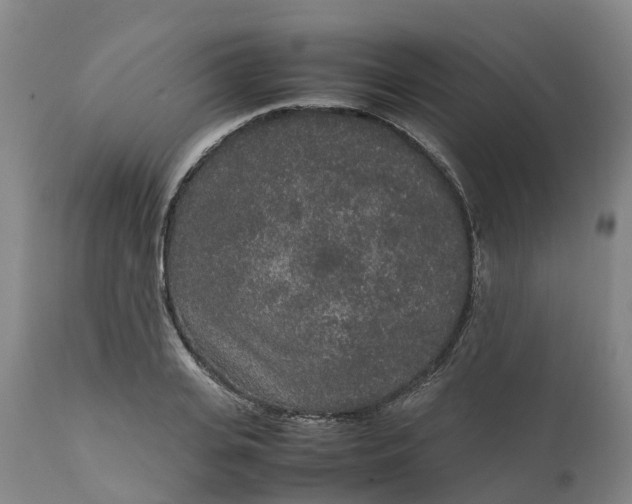 X0000111650935200907311313