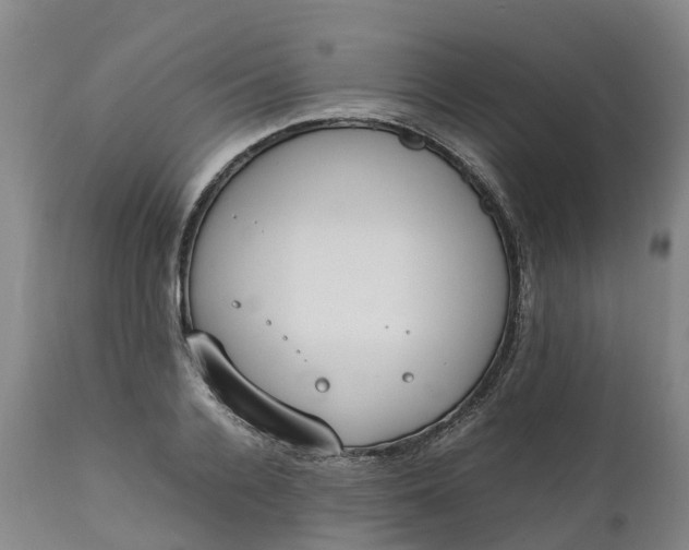 X0000111650936200907311313