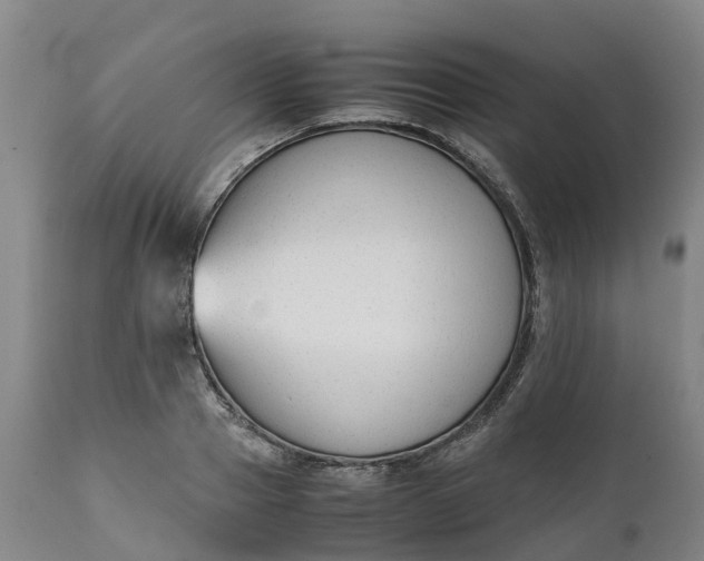 X0000111650937200907311313